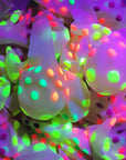 10PCS 12-Inch Glow in the Dark Fluorescent Balloons - Heart Latex Party Decor.