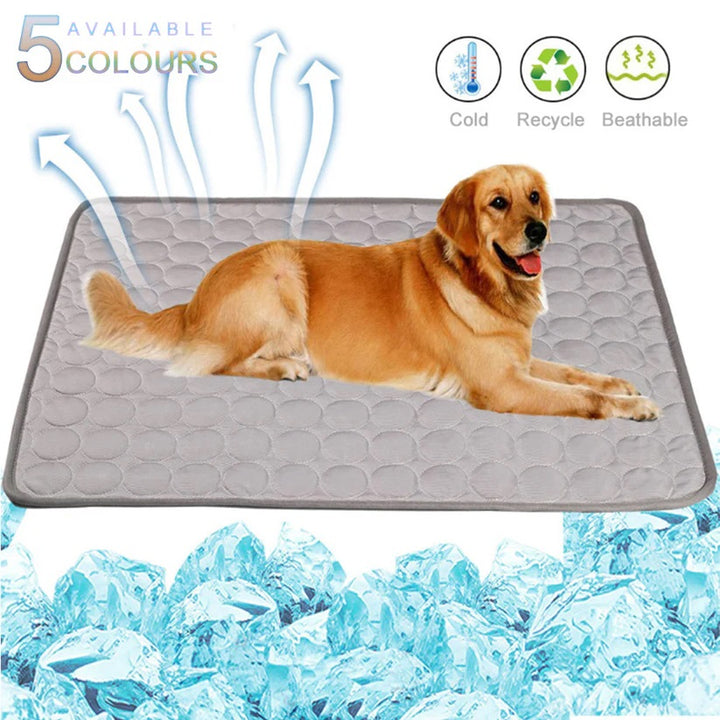 Discover the Most Effective Cooling Pad for Pets This Summer