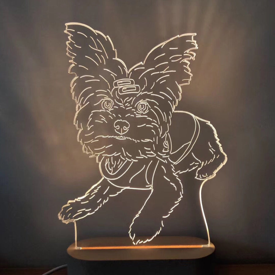 Custom Photo 3D Stereo Night Light