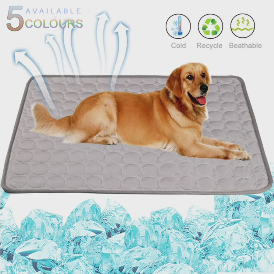 Pet Summer Portable Ice Silk Cooling Pad